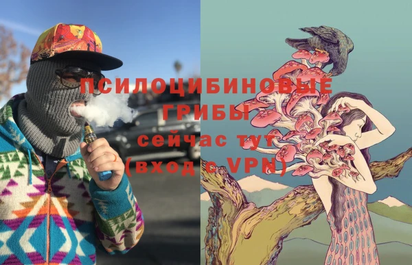 ешки Абаза