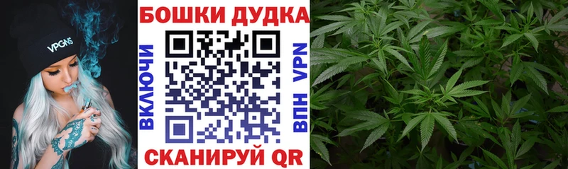 закладка  Пугачёв  Бошки марихуана White Widow 